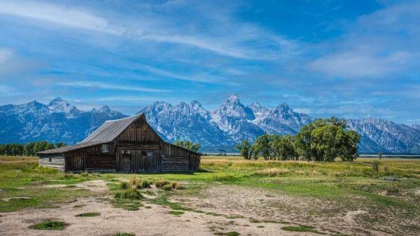 Beneath the Tetons