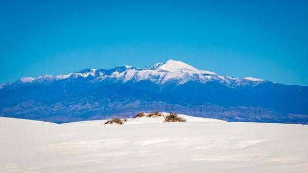 Winter Contrast at White Sands