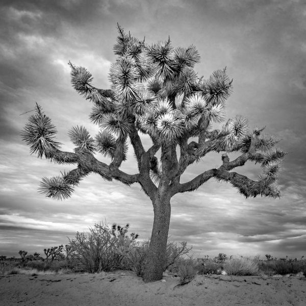 National Parks