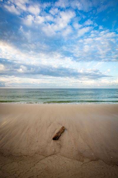 Washed Ashore