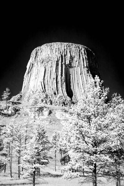 Devils Tower in Monochrome