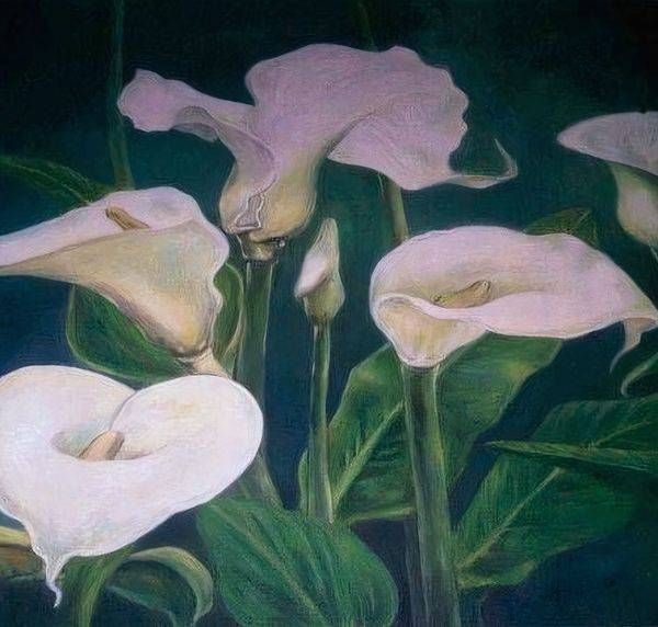 Morning Dawn Art | Anthoni Davis Art