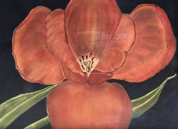 Red Orange Tulip Art | Mary Anne Buckwald Fine Art