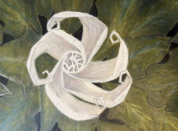 Daytura. Art | Mary Anne Buckwald Fine Art