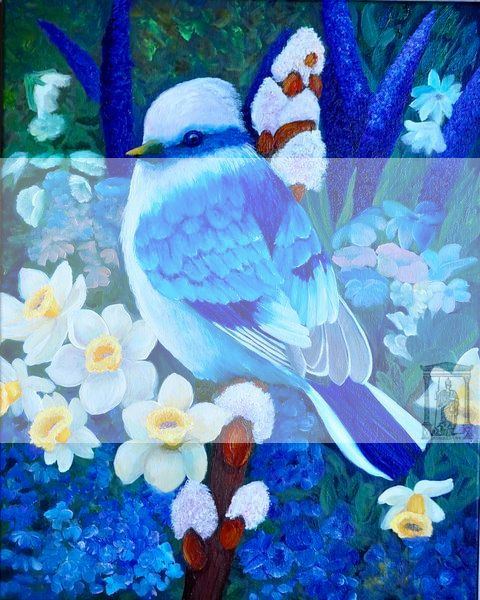 Birds