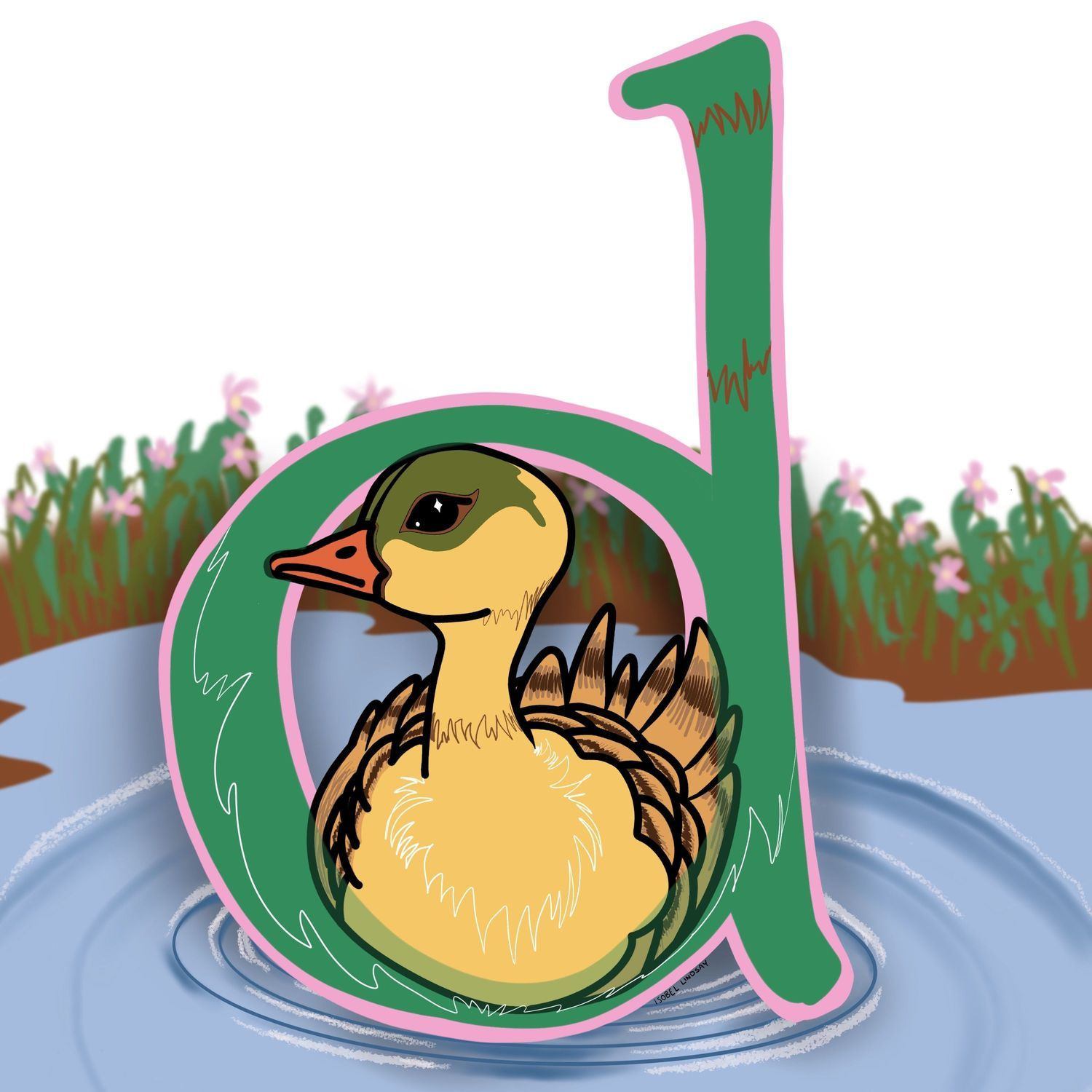 D is for Duck
