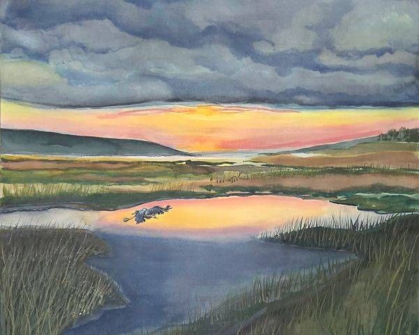What "Heron" Sees