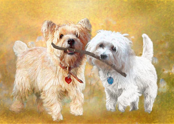 Custom Art | Light Pixie Studio