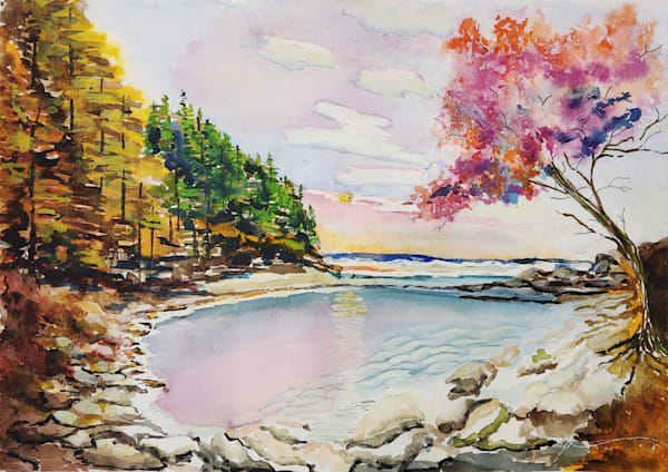 Dance of Light on Tranquil Bay