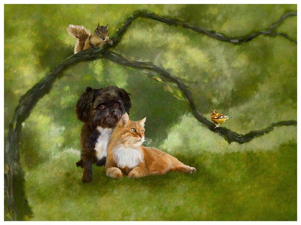 Custom Art | Light Pixie Studio