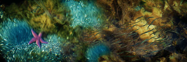 Seabed at Kjerkholmen