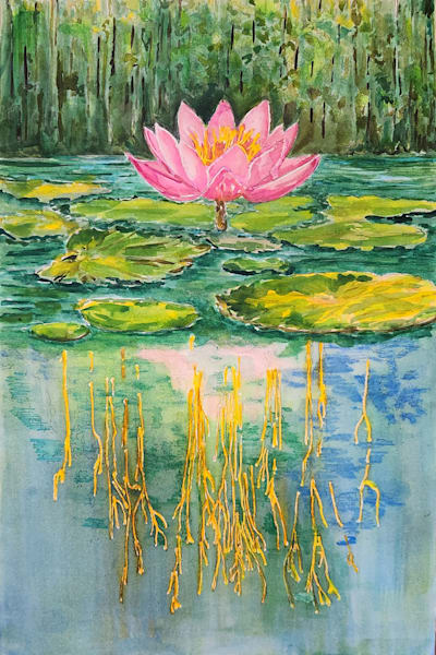 Waterlily, Roots and All