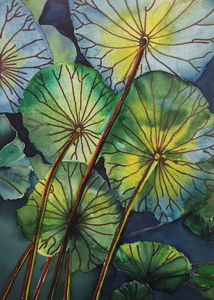 Botanical Leaves below the Drift