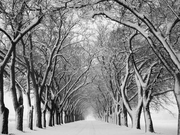 The World in Black and White