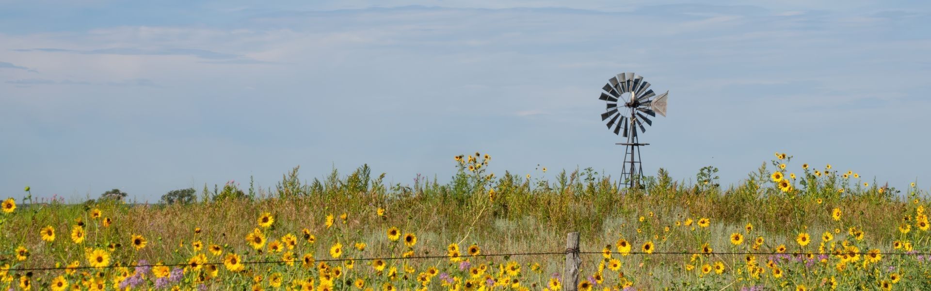 
        <div class='title'>
          Summer in Nebraskas Sandhills
        </div>
       