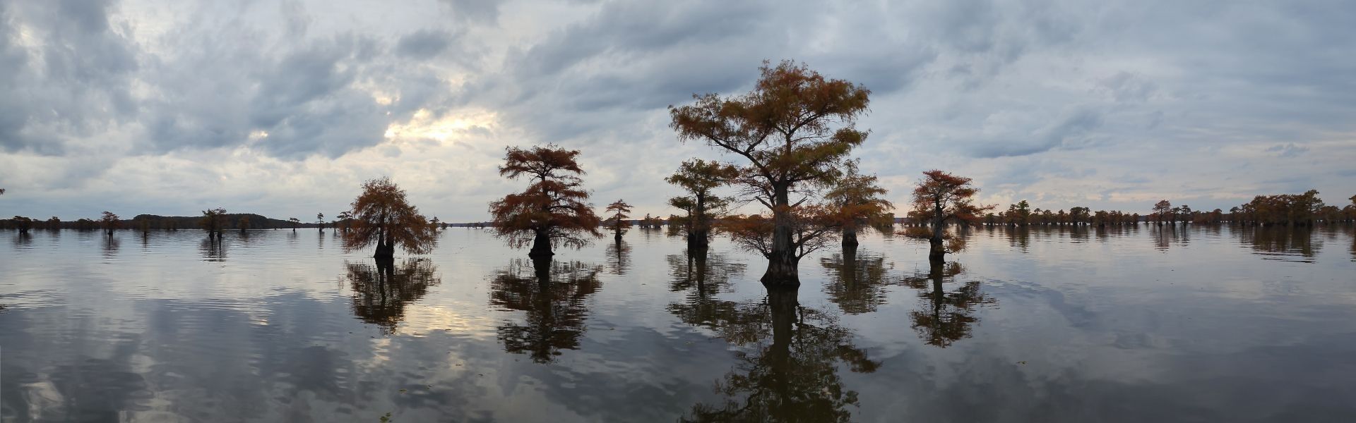 
        <div class='title'>
          Moody Caddo Lake
        </div>
       