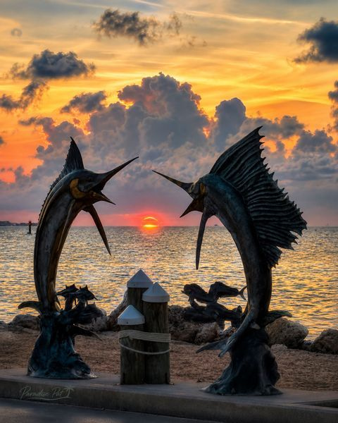 Reel Moments... Timeless Art