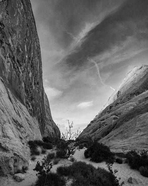 Valley of Fire (Black & White)