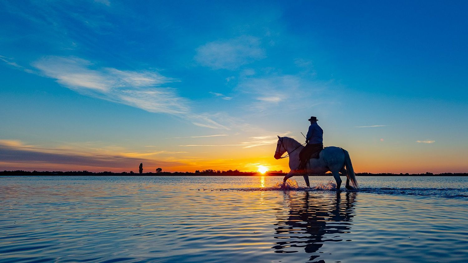 FR Camargue Sablins Sunrise 012A0186