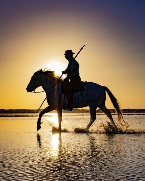 Guardian At Sunset