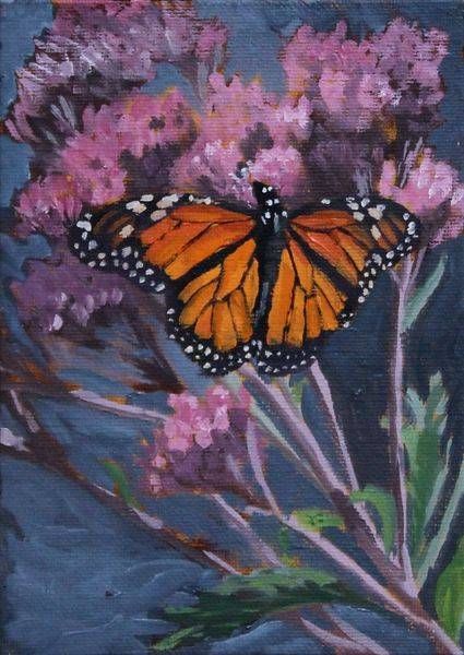 Fine Art Prints