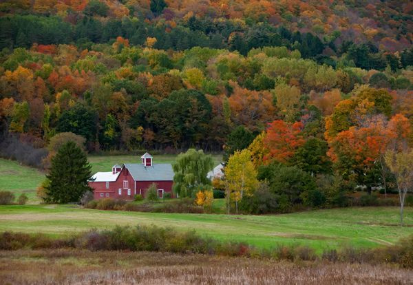 Vermont