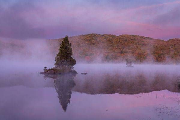 Morning Serenity