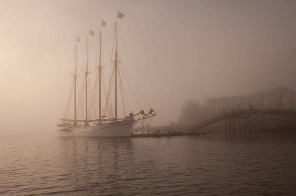 Morning Mooring