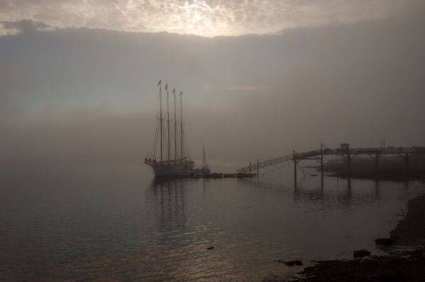 Morning Mist