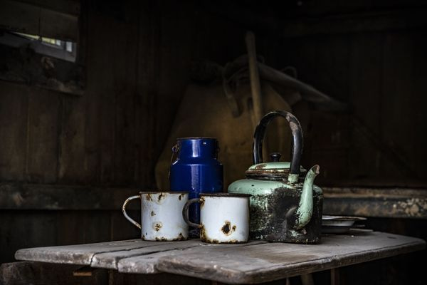 Still Life