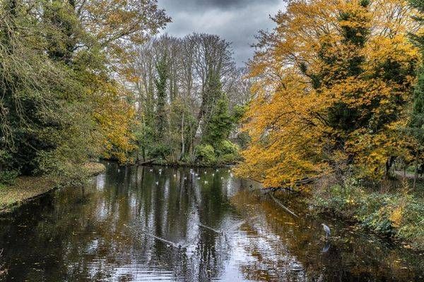 Fall Colour Richmond UK