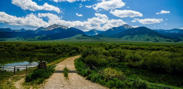 Montana Landscape