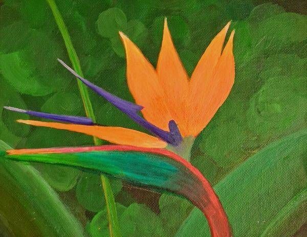 Bird Of Paradise Art | Art by Susan Jennifer