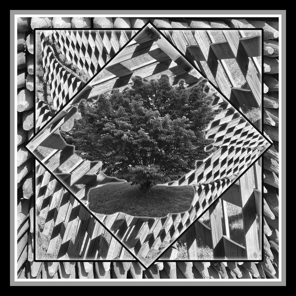 Black & White 