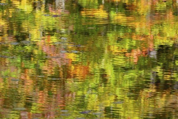 Abstract
