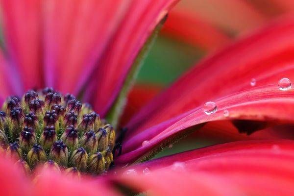 Droplets