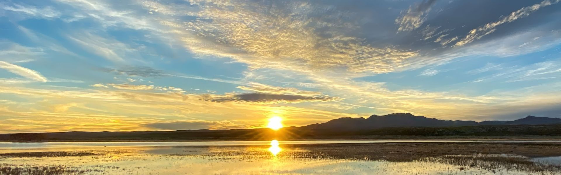 
        <div class='title'>
          19L06 0338J3 Sf D 12000X12000 Bosque Sunset Henry Peebles
        </div>
       