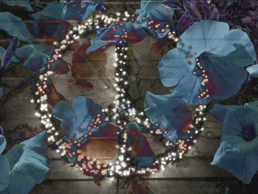 Please Peace Photography Art | Tim Brown Media