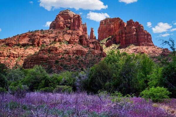Arizona