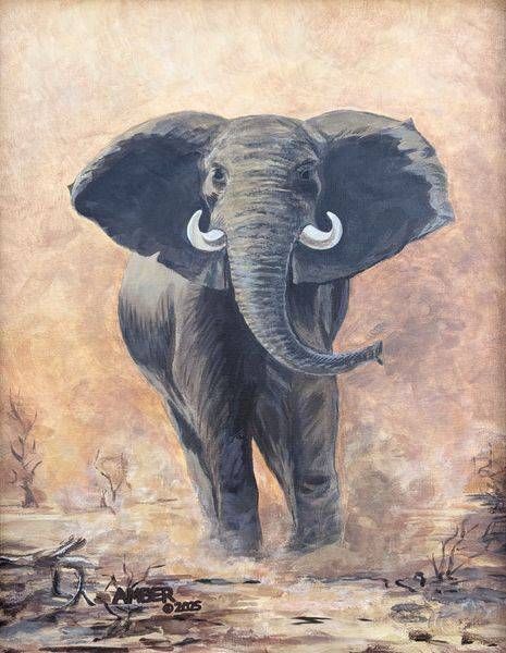 Fine Art Prints