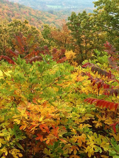 North Carolina