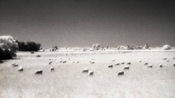 Landscapes