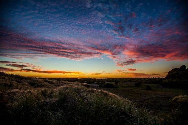 Landscapes