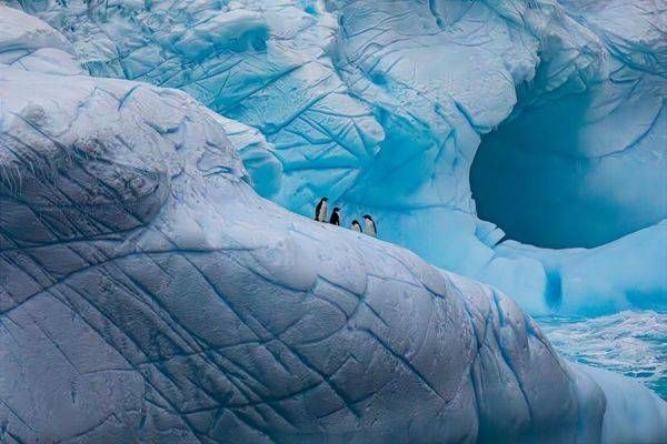 Antarctica