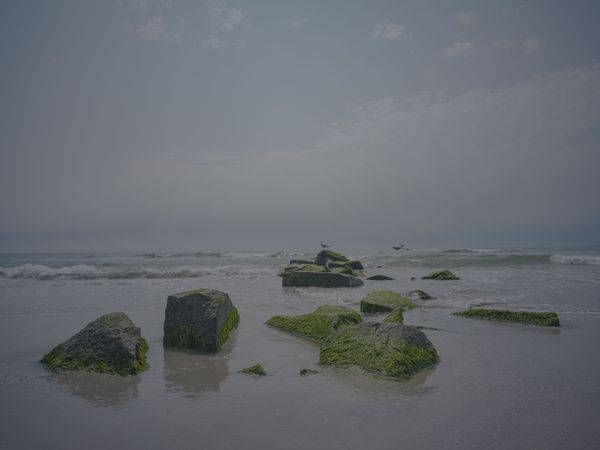 Keeping Watch Photography Art | Coastal Fine Art Gallery