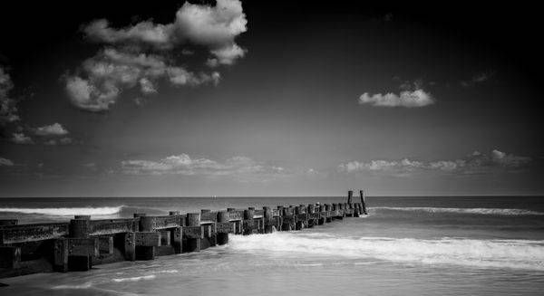 Surfs Up Photography Art | Coastal Fine Art Gallery