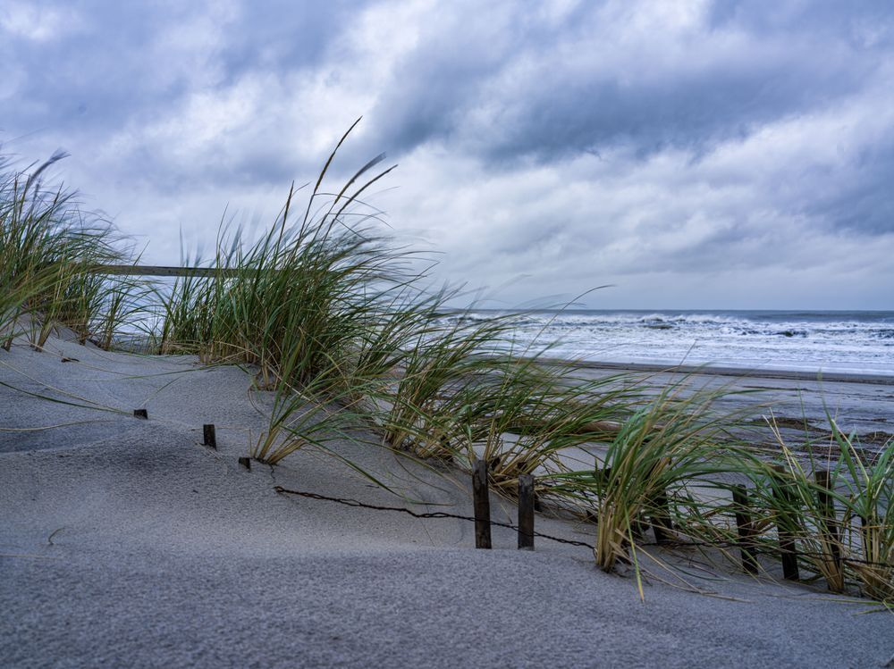 Dune Grass Under Clouded Skies Photography Art | Coastal Fine Art Gallery