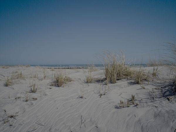 Dune Photography Art | Coastal Fine Art Gallery