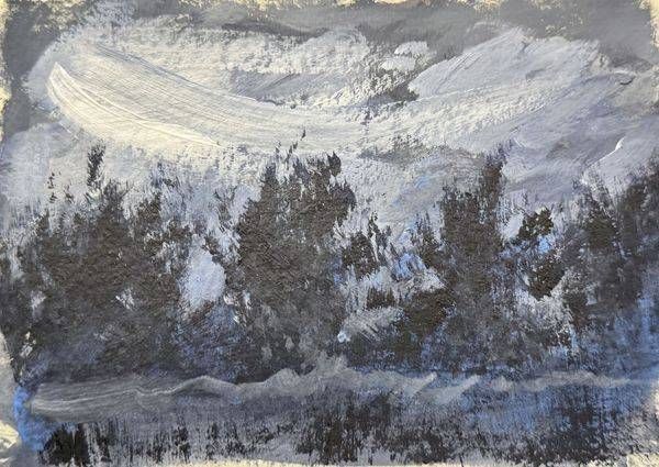 Mountain Forest