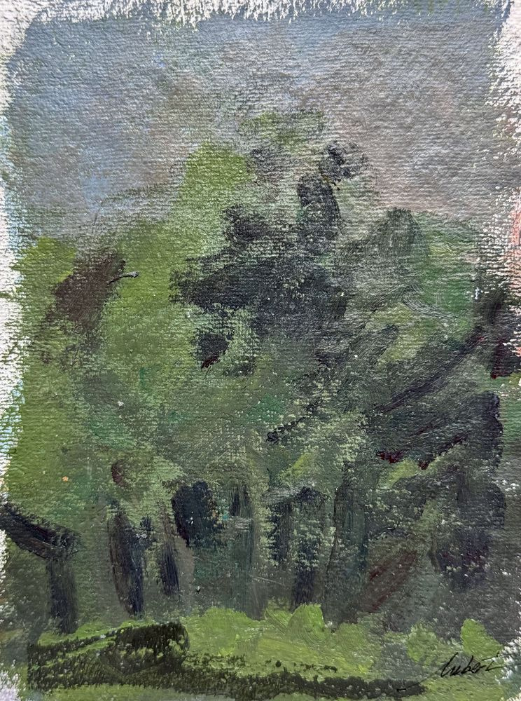 Upscaled with Gigapixel v1.3.4. 4284x5712 => 12000x16000 (2.80112x) Model: CGI, denoise: 0.01, sharpen: 0.01